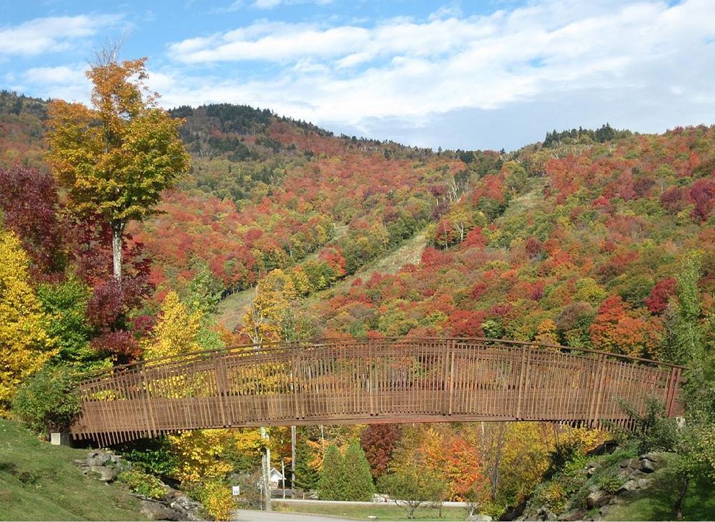 Ski In/Out Trailside Townhome คิลลิงตัน ภายนอก รูปภาพ